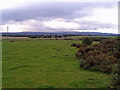 Looking south from Moss-side Road