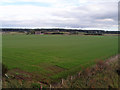 Moss-side Woods from the railway bridge