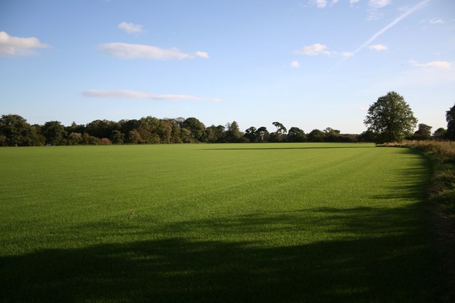 Big Lawn © Richard Croft :: Geograph Britain and Ireland