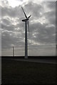 Wind Turbine near Swansea seawall