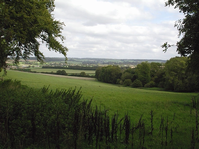 Fields and wood north east of Cheriton Lane