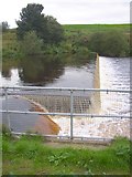 SE1221 : Weir on the River Calder, below Strangstry Wood (2) by Humphrey Bolton