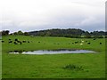 Small tarn near Westwood