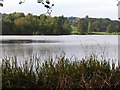 Deer Park Mere, Cholmondeley castle grounds