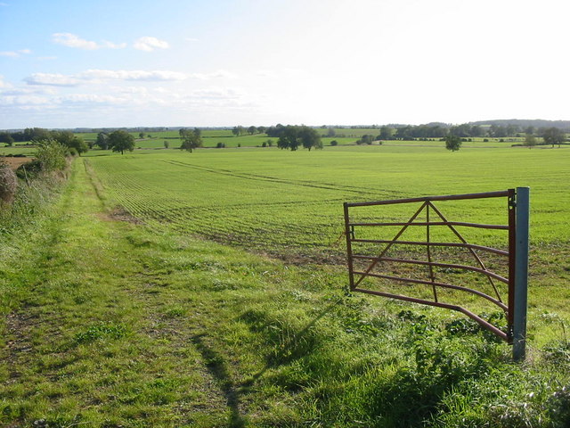 Open Fields Near Woodnewton