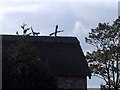 Witch & Peculiar Thatched Roof