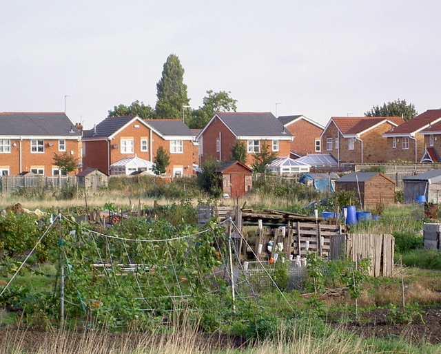Allotments on National Avenue, Hull