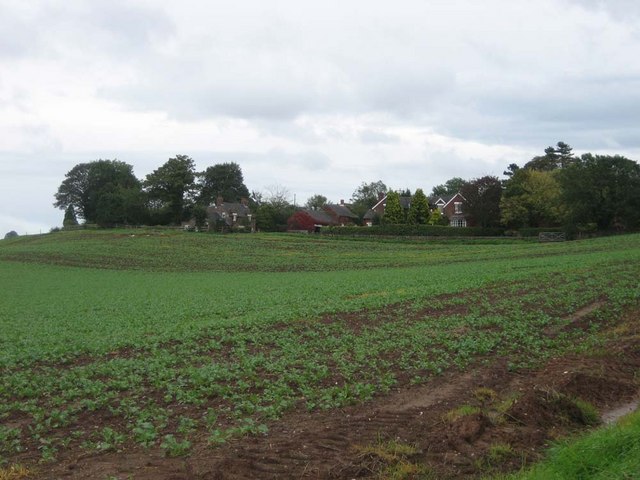 Across the field to Bishop's Offley