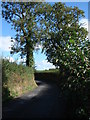 Country lane near Glan Ystwyth