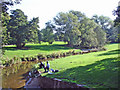 Wilmslow - River Bollin near the east end of The Carrs