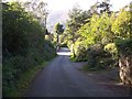 Looking Down Hazler Road