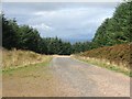 NR6834 : Kintyre Forestry Road. by Steve Partridge
