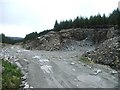 NR6932 : Small Forestry Quarry. by Steve Partridge