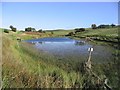 A private fishing pond near Southfield