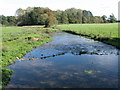 Sherborne Brook