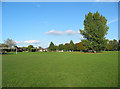 Recreational ground at The Barony