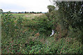 SK6931 : River Smite between Hickling and Colston Bassett by Kate Jewell
