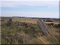 Sheldon Stone Circle