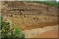 Red crag pit in Rendlesham Forest