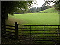 Farmland to the south of Neen Sollars