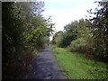 Disused railway line looking North. Now a path/cycleway