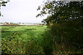 A Field next to Billington Bank, Stafford