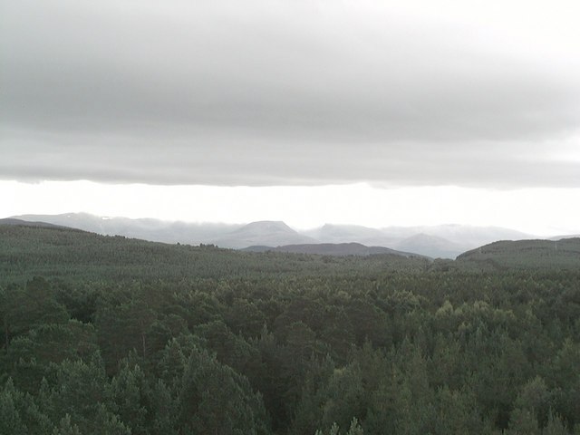 Looking from the Landmark fire tower south