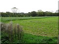 Annaghquin Townland