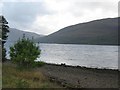 Shore of Loch Linnhe