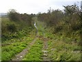 Disused Railway at Meikle Drumquharn