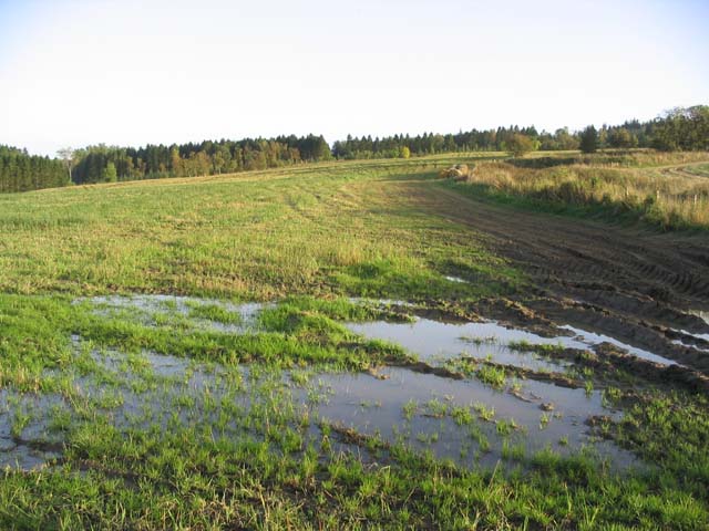 A waterlogged field at Hartwoodburn