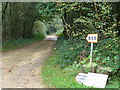 Bridleway in Colhook Common