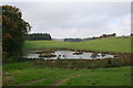 Duck pond north of Craig Castle.