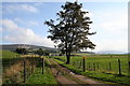 Lane to Linthaugh Farm.