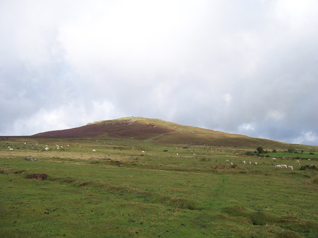 Stream bed crossing moorland sheep pasture
