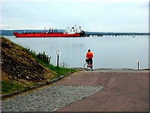 NH7867 : Cyclist checking tide tables at Cromarty pier by Stanley Howe