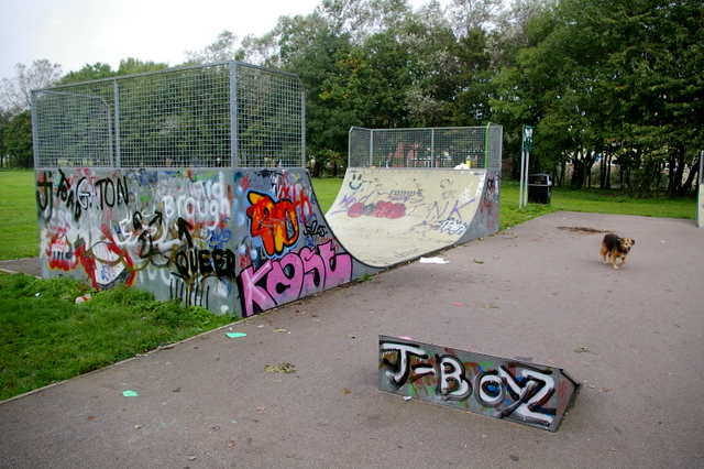 Skate Park at Hessle Haven