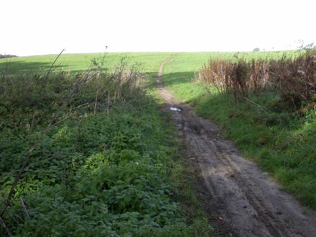 Footpath across the Heath