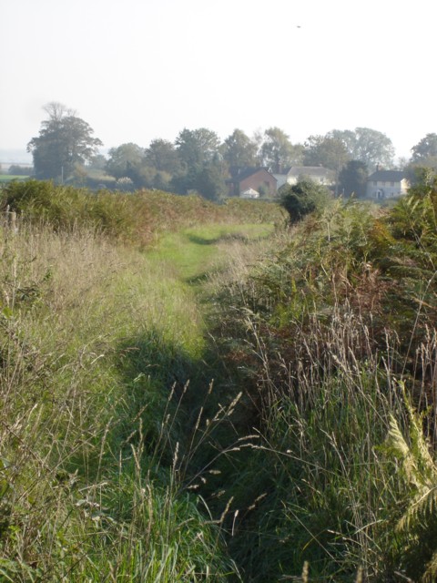 Bridleway to Woodcutts