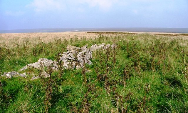 Ruined Wall, Little Moor