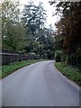 Road near Ashfield Hall