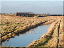 TM4349 : Orford Ness - Airfield Marshes & the Plate Store by Stuart Warrington