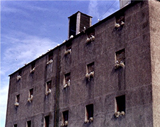 Dunbar warehouse