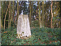 Dalebrow Trig Pillar, 148 m, Prestbury