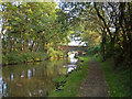 Approaching bridge no. 29, Macclesfield Canal