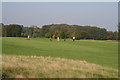 7th Fairway, Red Libbets Golf Club, Kent