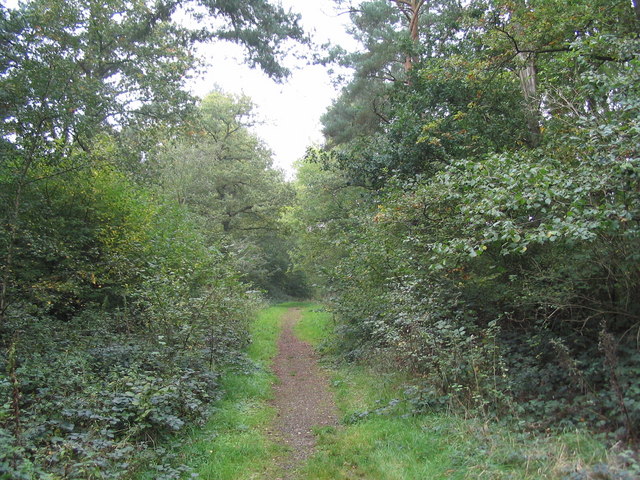 Footpath into Wakerley Great Wood © Tim Heaton :: Geograph Britain and ...