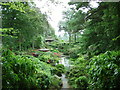 Japanese Garden, Compton Acres