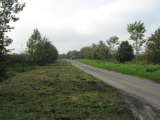 Trimming And Clearing © Roger Gilbertson Cc By Sa20 Geograph