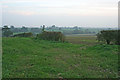 Farmland at Crown Farm